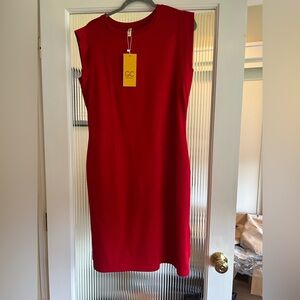 Women's Red Dress NWT